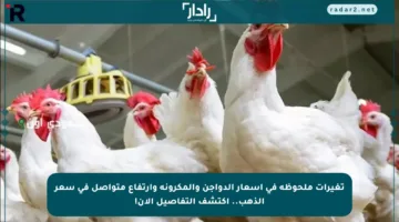 تغيرات ملحوظة في أسعار الدواجن والمكرونة وارتفاع متواصل في سعر الذهب.. اكتشف التفاصيل الآن!